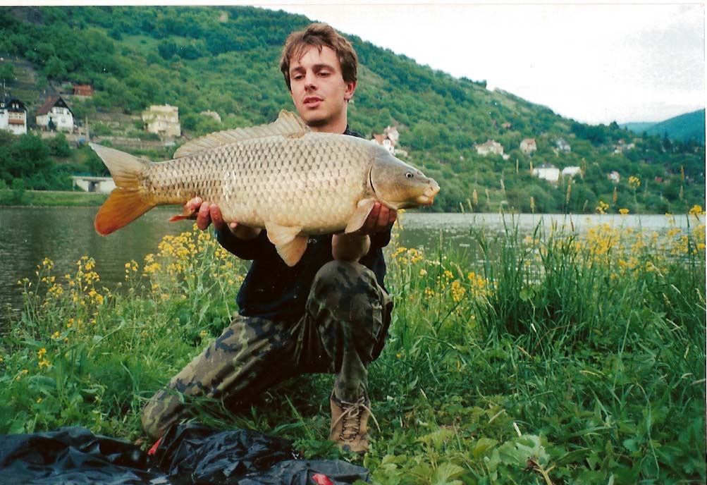bojovník z Labe
