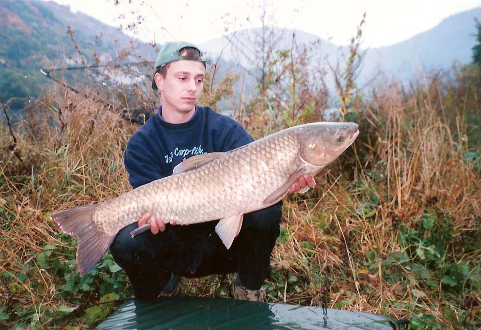 další amur
