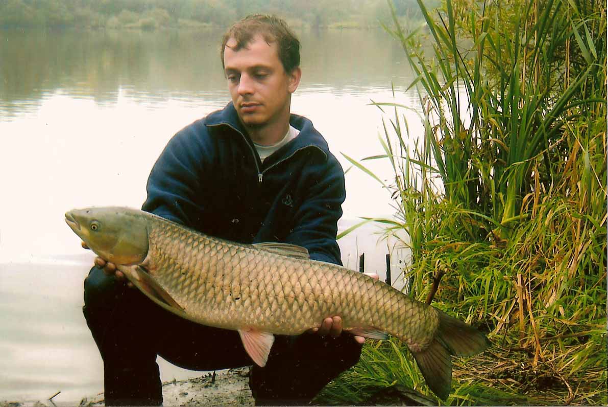 dlouhán