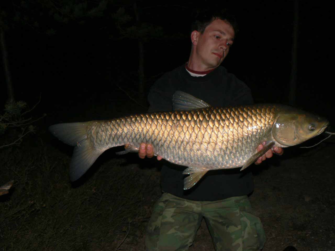krásný amur